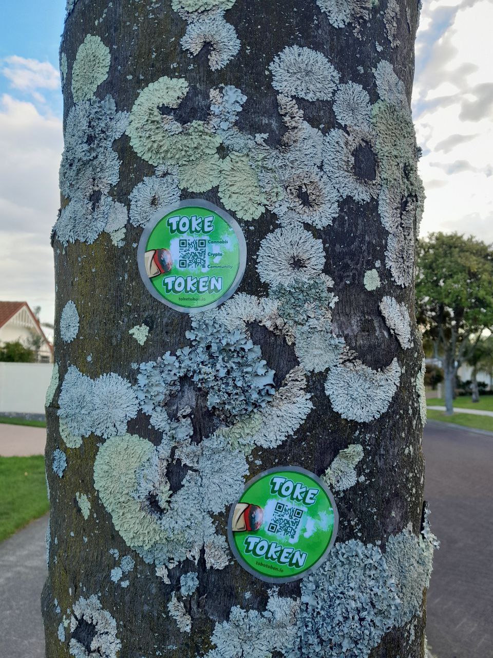 Sticker 38